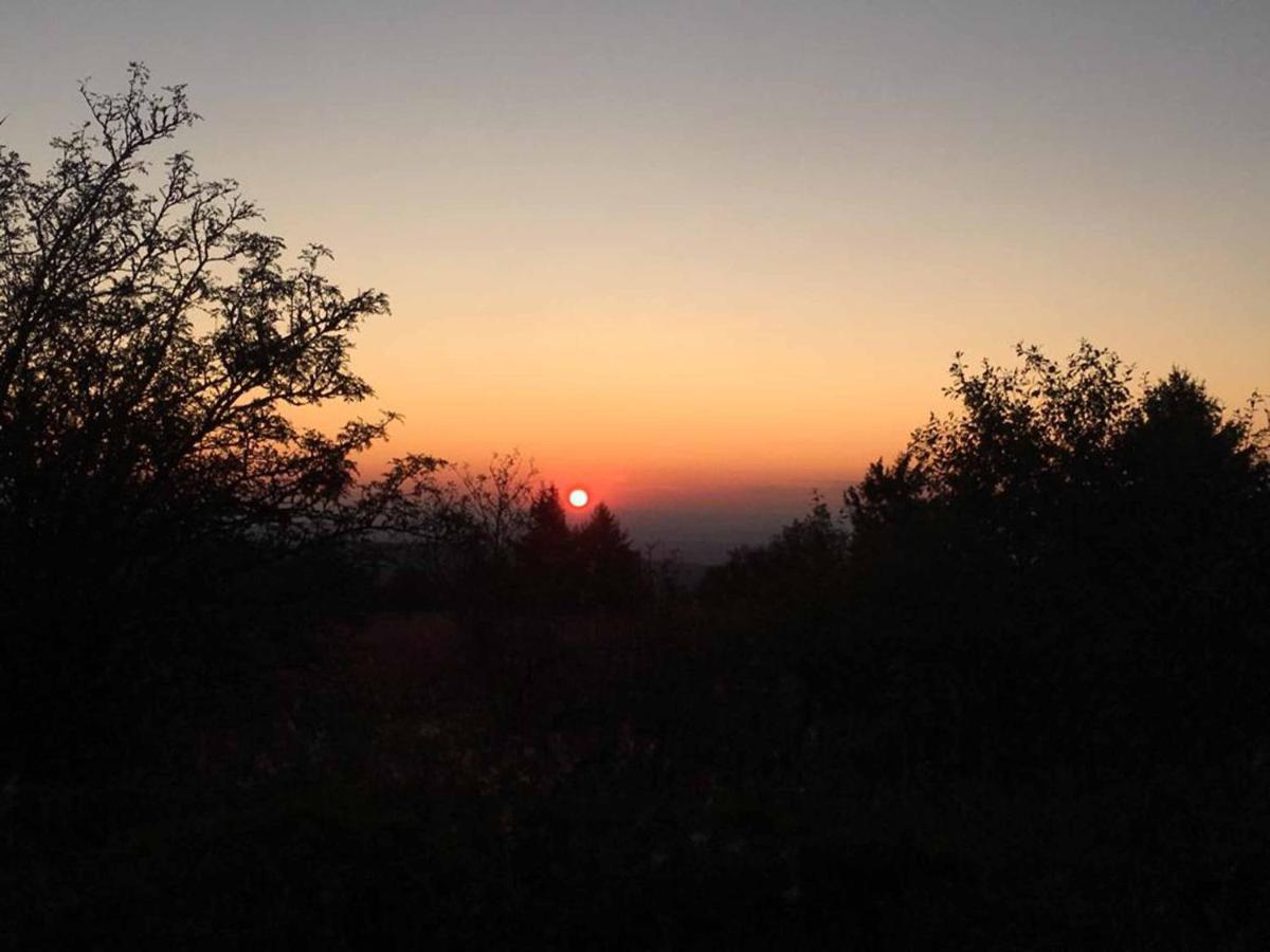 Ehrenberg  Ferienwohnung Stirnbergblick מראה חיצוני תמונה